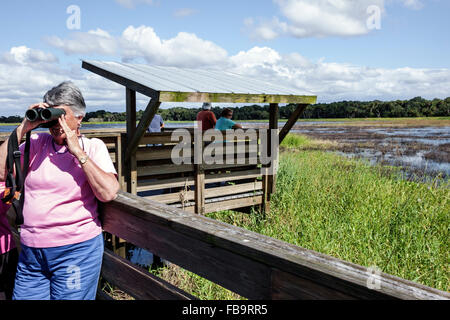 Sarasota Florida, Myakka River Water state Park, natura, paesaggio naturale, lago Myakka, escursioni, sentiero, sentiero, passeggiata rialzata, anziani anziani, anziani, Citizen citize Foto Stock