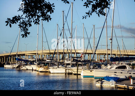 Florida,Bradenton,Manatee River,Water,Riverwalk Park,Green Bridge,Waterfront,marina,barche,FL151022081 Foto Stock