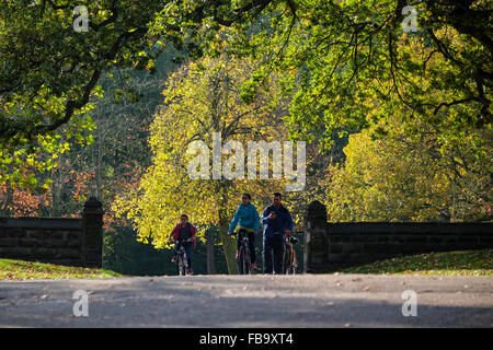 Astley Park, Chorley Lancashire. Famiglia godendo Astley Parco in autunno. Foto Stock