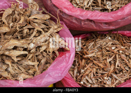 Pesci secchi in vendita in sacchi di colore rosa in un mercato di Kathmandu. Foto Stock