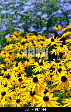 Estate Garden cottage flower boarder Foto Stock