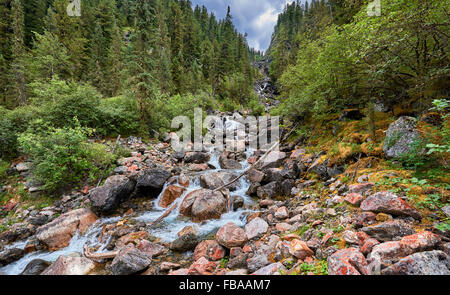 Ruscello di montagna che scorre nella stretta gola di foresta. Siberia orientale Foto Stock