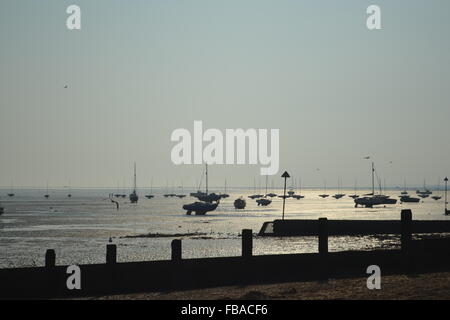 Southend-on-Sea beach senza acqua e uno dei più lunghi del molo nel mondo un sacco di yacht battenti seagull bassa marea Foto Stock