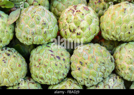 Anone (cherimoya) sulla vendita a Mapusa la vivace mercato del venerdì, Mapusa, Nord Goa, India Foto Stock