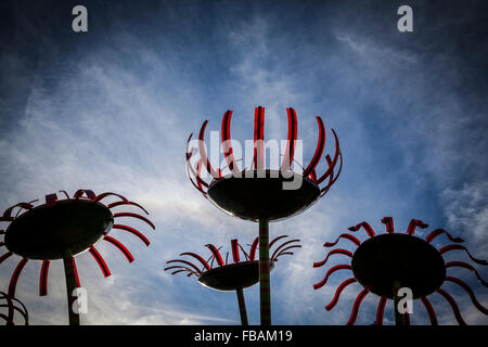 Seattle fiori sculture, il distanziatore neddle landmark, nello stato di Washington Foto Stock