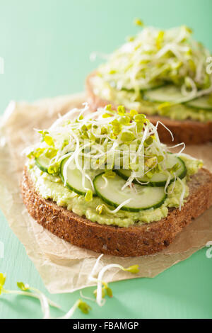 Una sana avocado toast con cetrioli germogli di rafano Foto Stock