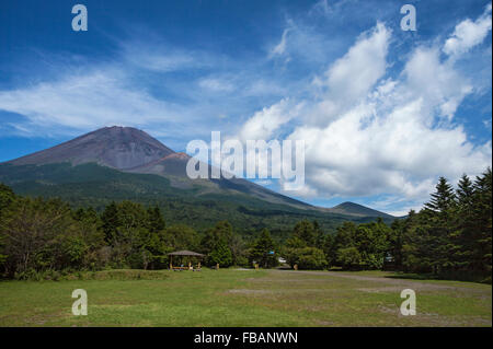Il monte Fuji e praterie, Fujinomiya, Prefettura di Shizuoka, Giappone Foto Stock