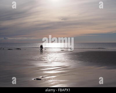 Un paio di passeggiate con il cane su una spiaggia di sera Foto Stock