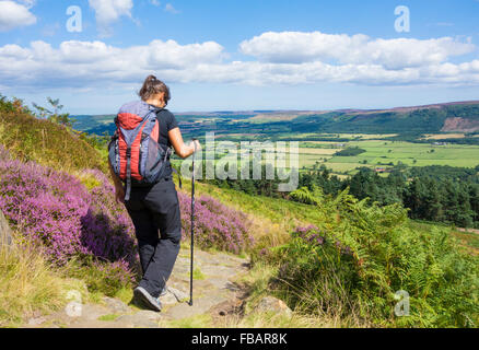 Femmina di escursionisti a piedi il modo di Cleveland su banca affrettate sulle colline di Cleveland, North York Moors National Park, North Yorkshire. Regno Unito Foto Stock