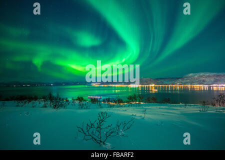 Aurora Boreale su Tromso, Norvegia settentrionale Foto Stock