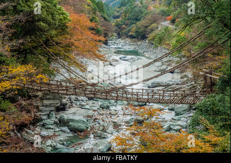 Kazura-bashi ponte di Vigna di Valle Íýá, Miyoshi, Prefettura di Tokushima, Giappone Foto Stock