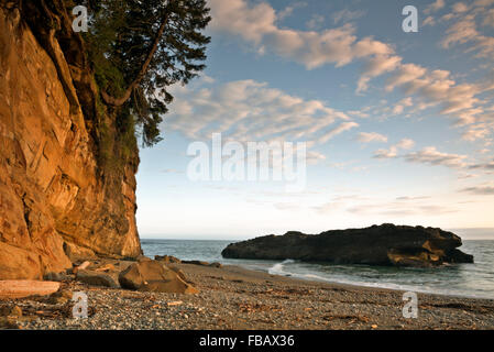 BC00428-00...British Columbia - Serata al Tsocowis Creek Camp, una popolare area camping lungo la West Coast Trail. Foto Stock