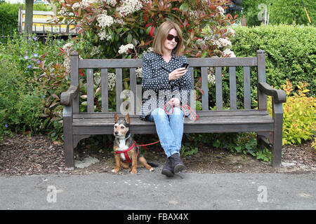 Donna seduta su una panchina nel parco guardando il telefono cellulare con un cane di piccola taglia Foto Stock