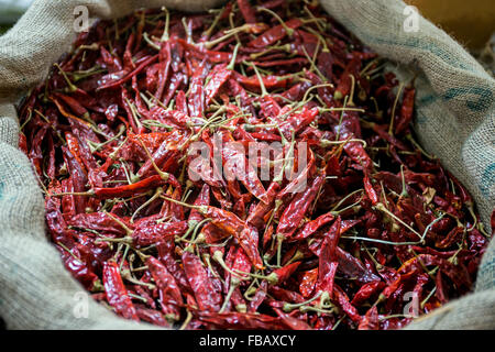 Secchi Peperoncino rosso in un mercato dello Sri Lanka, Nuwara Foto Stock