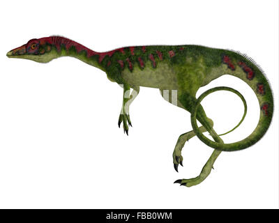 Compsognathus era un piccolo carnivoro theropod dinosauro che visse durante il Giurassico dell'Europa. Foto Stock