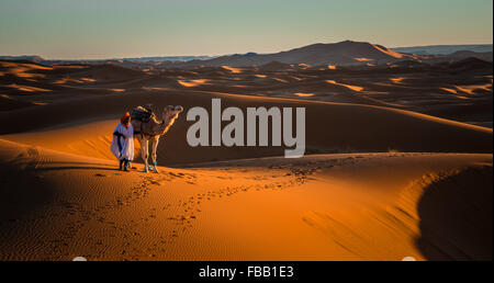 Uomo e cammello, Erg Chebbi Marocco Foto Stock