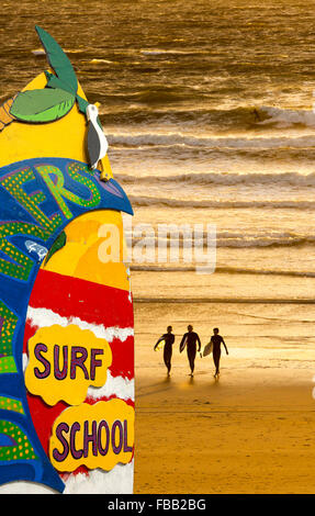 Surfisti a Polzeath al tramonto, Cornwall, Regno Unito. Foto Stock