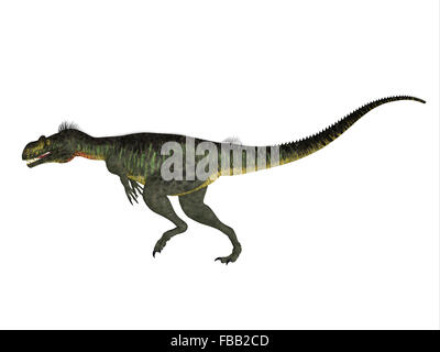 Megalosaurus era un grande carnivoro theropod dinosauro che visse nel Giurassico dell'Europa. Foto Stock