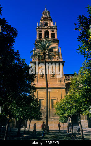 Cordoba.Andalusia. Spagna: Campanile o minareto della moschea-cattedrale, nel cortile di los Naranjos Foto Stock