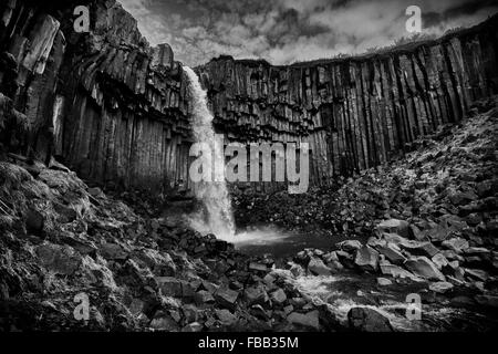 La famosa e bellissima Svartifoss in Islanda, circondato da colonne di basalto. Foto Stock