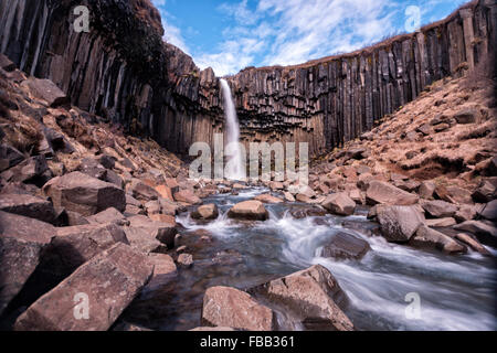 La famosa e bellissima Svartifoss in Islanda, circondato da colonne di basalto. Foto Stock