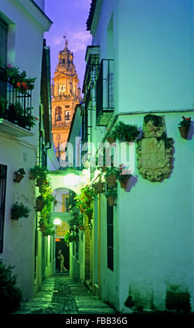 Córdoba.Andalusia. Spagna: Calleja de las Flores, in background campanile o minareto della moschea-cattedrale Foto Stock