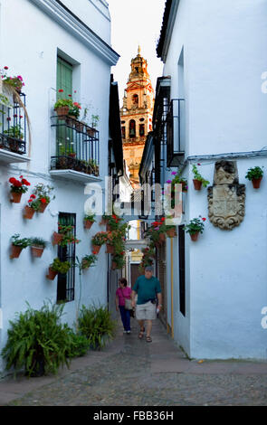 Cordoba.Andalusia. Spagna: Calleja de las Flores, in background campanile o minareto della moschea-cattedrale Foto Stock