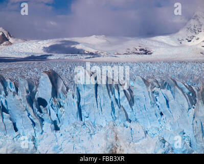 La faccia terminale del ghiacciaio Perito Moreno, Patagonia Foto Stock