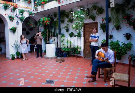 Cordoba.Andalusia. Spagna: Tipico cortile, in 14 San Basilio street Foto Stock