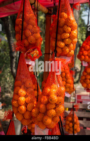 Una fila di bancarelle di frutta importata vendita arance accanto all'autostrada A1 (Autostrada Colombo-Kandy0 in Sri Lanka. Foto Stock