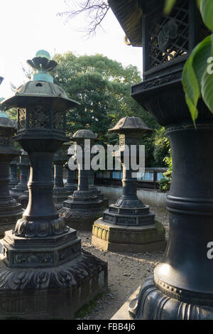 Nel Parco di Ueno, Tokyo Giappone Foto Stock