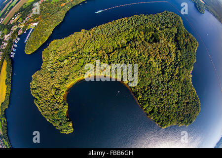 Vista aerea, lago Halterner Haltern serbatoio, isola nel lago Halterner, foresta isola nell'acqua blu, Haltern am See, Foto Stock