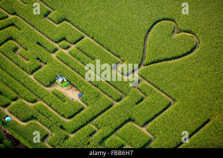 Vista aerea, cuore nel campo di grano, mais labirinto in un cornfield in Herten, percorsi nel campo di grano, cuore verde, forma di cuore, Foto Stock