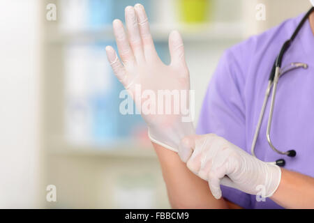 Professional vet coinvolti nel lavoro Foto Stock