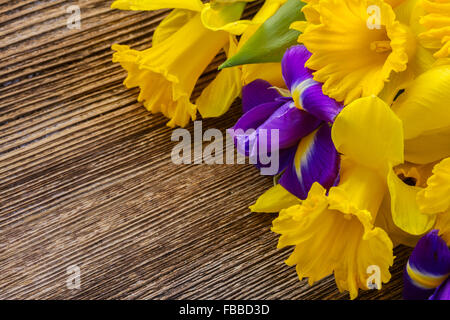 Pasqua narcisi e irise Foto Stock