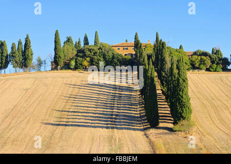 Podere im Herbst - Podere in caduta 26 Foto Stock