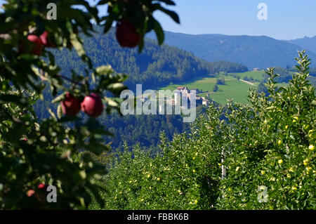 Proesels Schloss - castello Proesels 08 Foto Stock