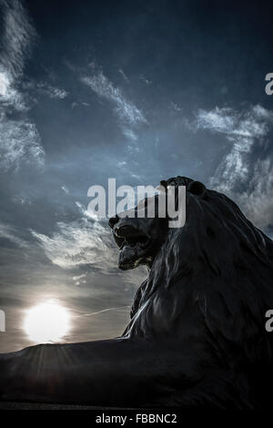 Lion statua in corrispondenza della base della colonna di Nelson,, Trafalgar Square Foto Stock