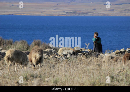 Il greco pastorella, appoggiato su un truffatore, a guardia di un gregge di pecore Pournia bay/ golfo in background. Lemnos Island, Grecia Foto Stock