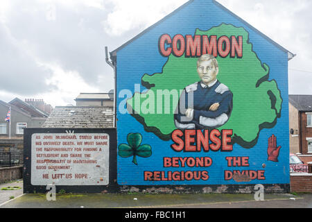 John McMichael UDA leader ucciso dall'IRA murale in sua memoria intitolato Il senso comune situato in zona villaggio del sud di Belfast. Foto Stock
