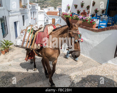Asino che trasportano materiali da costruzione in strade strette. Frigiliana una città bianca vicino a Nerja, Costa del Sol, Andalusia, Spagna Foto Stock