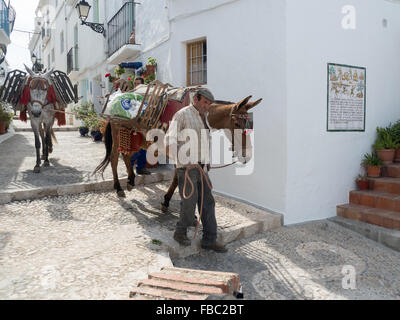 Asini che trasportano materiali da costruzione in strade strette. Frigiliana una città bianca vicino a Nerja, Costa del Sol, Andalusia, Spagna Foto Stock