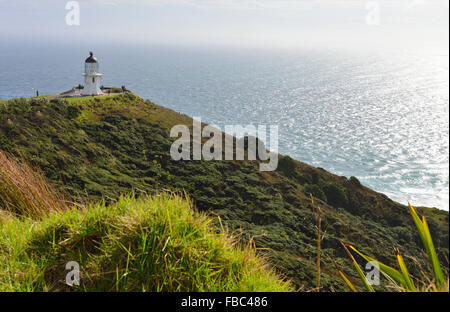 Cape Reinga/Te Rerenga Wairua, casa di luce in corrispondenza della punta settentrionale della Nuova Zelanda Foto Stock