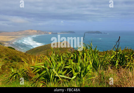 Punta Settentrionale della Nuova Zelanda vicino a Cape Reinga/Te Rerenga Wairua,sull'northwesternmost punta della penisola Aupouri,Nuova Zelanda Foto Stock