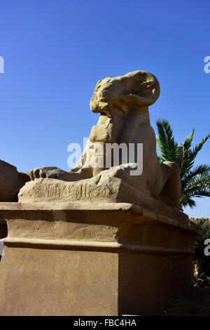 Antica pietra egiziano di ram permanente sulla protezione nella parte anteriore del tempio di Karnak a Luxor, Egitto Foto Stock