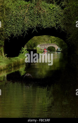 Restringere il canottaggio sulla Shropshire canal. In Inghilterra. Regno Unito. Europa Foto Stock