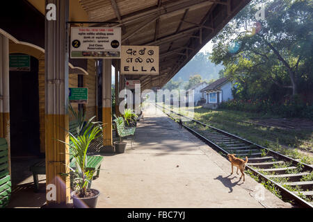 Ella stazione ferroviaria piattaforma, Southern Highlands, Sri Lanka Foto Stock