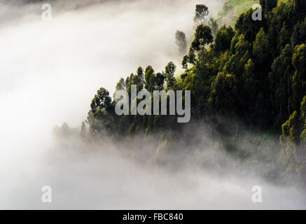 Nebbia di mattina in montagna sul lago Bunyonyi e, Kabale District, Uganda, Africa Foto Stock