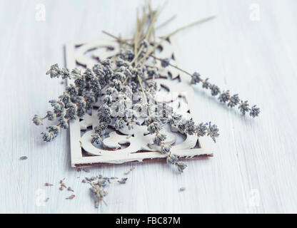 Secchi fiori di lavanda dipinto su tavola in legno Foto Stock