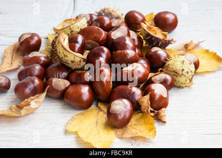 Marrone Heap di castagne con foglie di autunno su legno Foto Stock